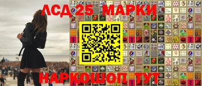 спиды Аргун