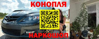 спиды Аргун