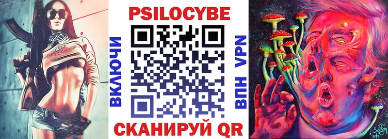 Псилоцибиновые грибы Psilocybe  Урус-Мартан 