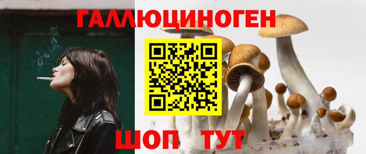 Псилоцибиновые грибы Magic Shrooms  Вход с VPN  Псилоцибиновые грибы Psilocybe  Урус-Мартан 