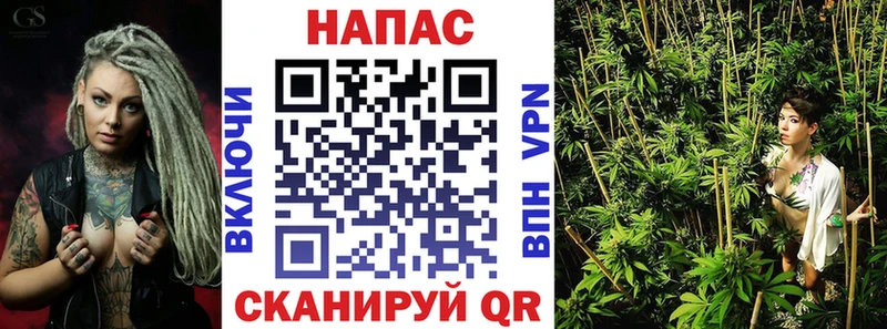 маркетплейс телеграм  Урус-Мартан  Каннабис конопля 
